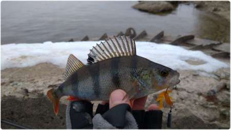 Удобные застёжки для микроджига HitFish Long Snap