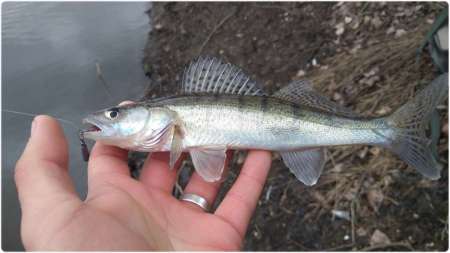 Удобные застёжки для микроджига HitFish Long Snap