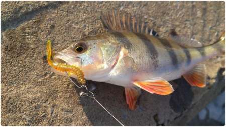 Удобные застёжки для микроджига HitFish Long Snap