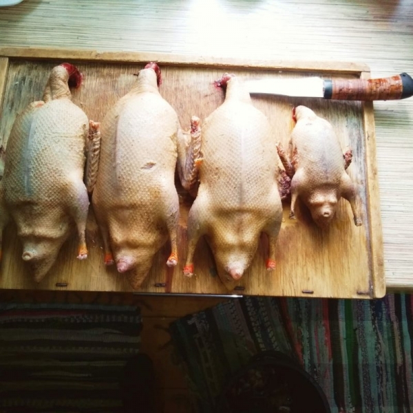 Весна, открытие, 2020 год.