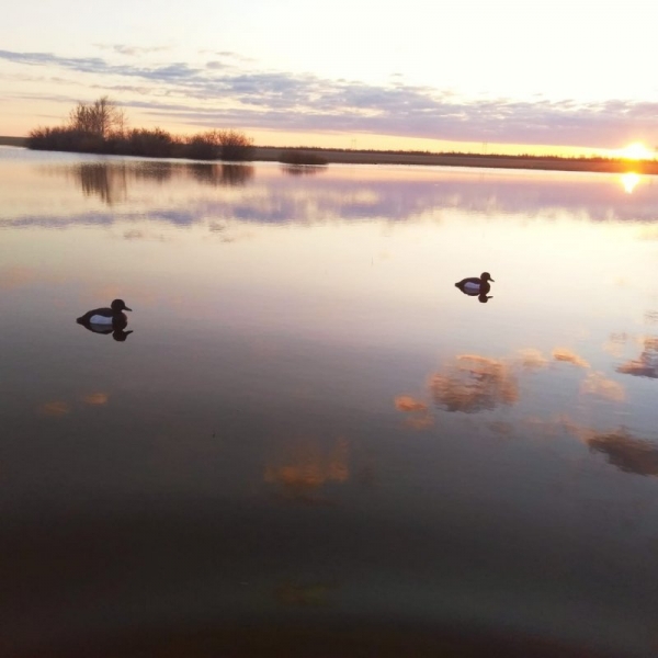 Весна, открытие, 2020 год.