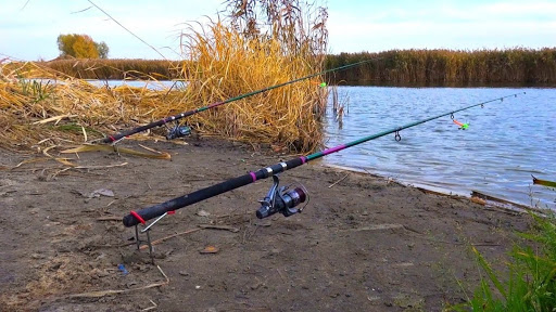 Что делать, если владелец пляжа прогоняет с рыбалки? Имеет ли на это право?