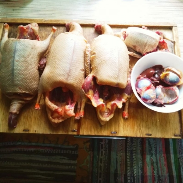 Весна, открытие, 2020 год.