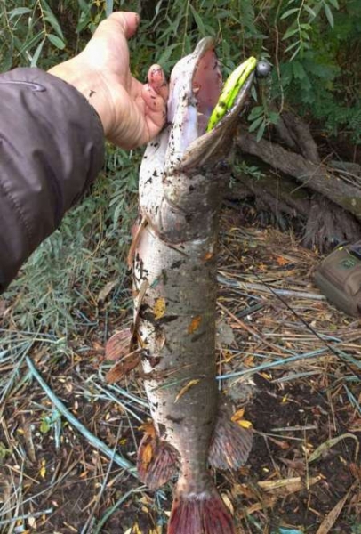 Крупные силиконовые приманки