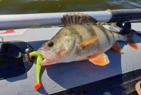 Крупные силиконовые приманки