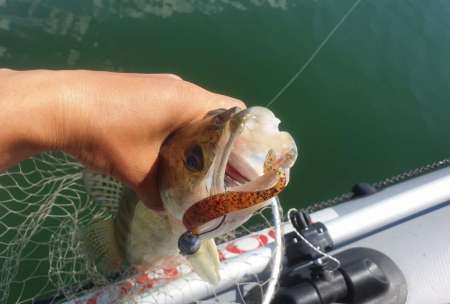 Крупные силиконовые приманки