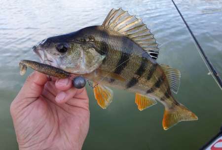 Крупные силиконовые приманки