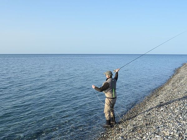 Ловим саргана на Черном море