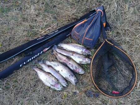 Маленький прудик