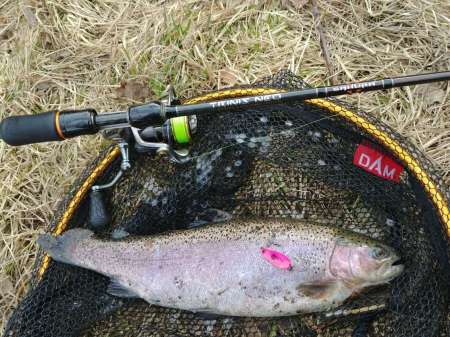 Маленький прудик