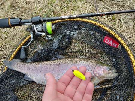 Маленький прудик