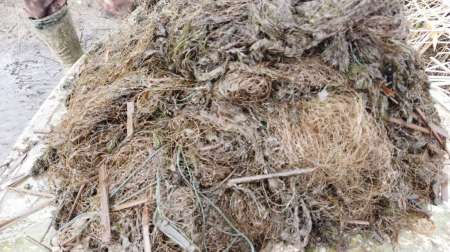 На борьбу с браконьерством вышли рыболовы