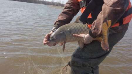 На борьбу с браконьерством вышли рыболовы