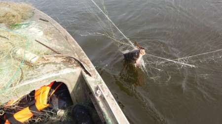 На борьбу с браконьерством вышли рыболовы