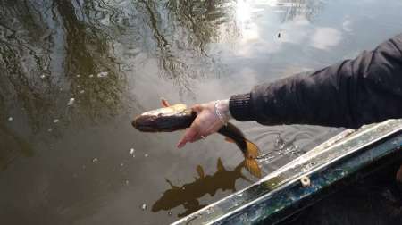 На борьбу с браконьерством вышли рыболовы