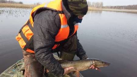На борьбу с браконьерством вышли рыболовы