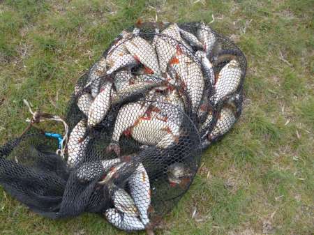 Новая удочка