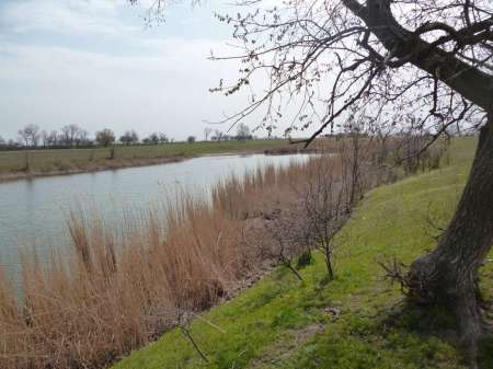 Новая удочка