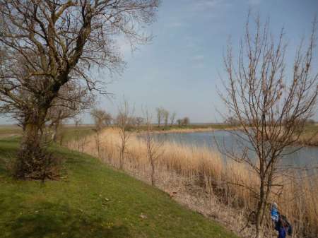 Новая удочка