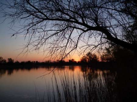 Опять за карасем