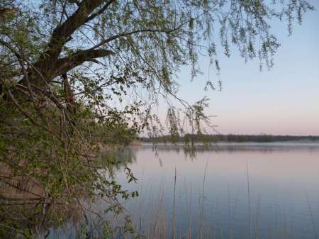 Опять за карасем