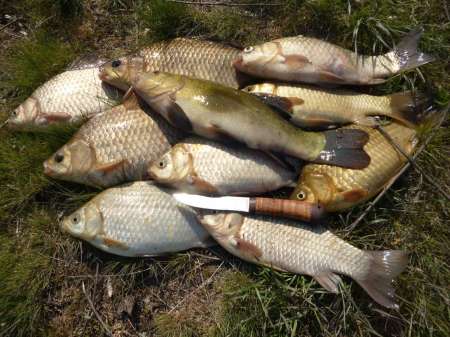 Первый в жизни линь