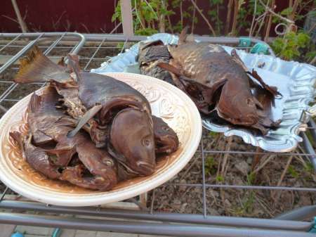 Первый в жизни линь