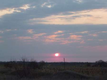 Первый в жизни линь