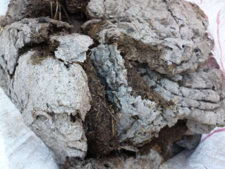 Первый в жизни линь