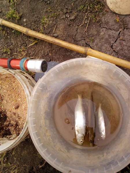 После пруда - на реке