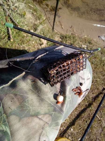 После пруда - на реке