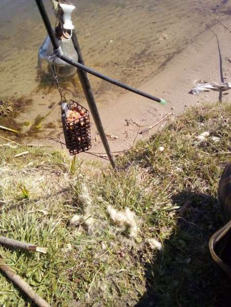 После пруда - на реке