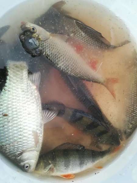 Прорвёмся! Прорвёмся!