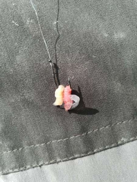 Прорвёмся! Прорвёмся!