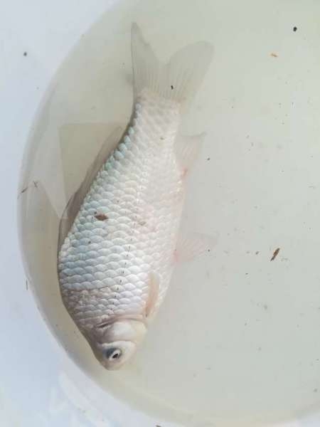 Прорвёмся! Прорвёмся!