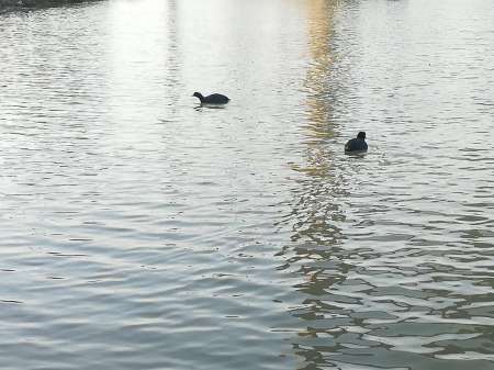 Прорвёмся! Прорвёмся!