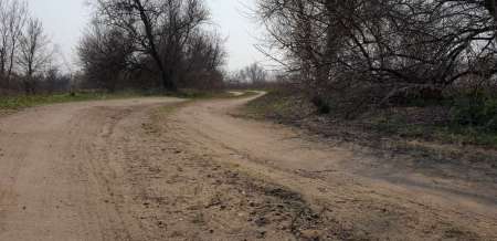 Щука проснулась Щука проснулась