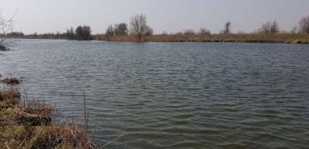 Щука проснулась Щука проснулась