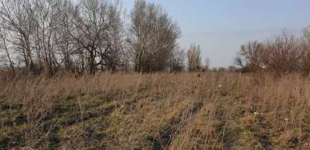 Щука проснулась Щука проснулась