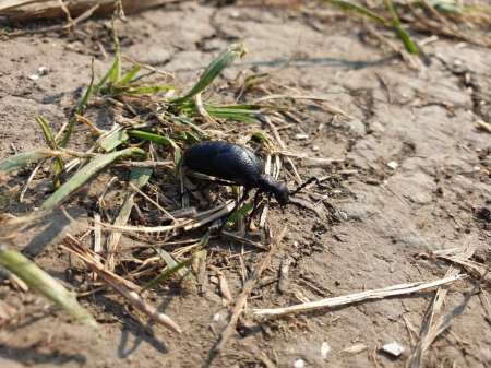 Щука проснулась Щука проснулась