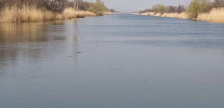 Щука проснулась Щука проснулась