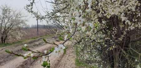 Щука проснулась Щука проснулась