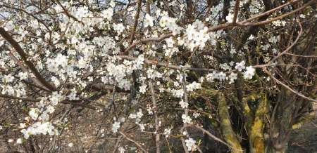 Щука проснулась Щука проснулась