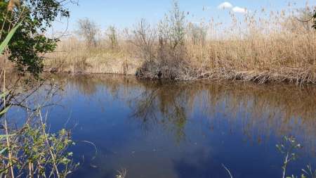 Скрытно... Тихо... На рыбалку - как партизан.