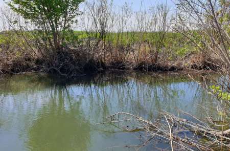Скрытно... Тихо... На рыбалку - как партизан.