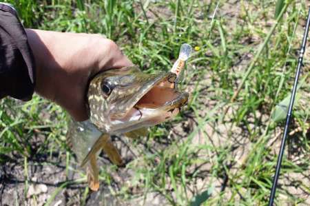 Скрытно... Тихо... На рыбалку - как партизан.