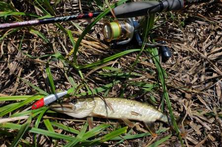 Скрытно... Тихо... На рыбалку - как партизан.