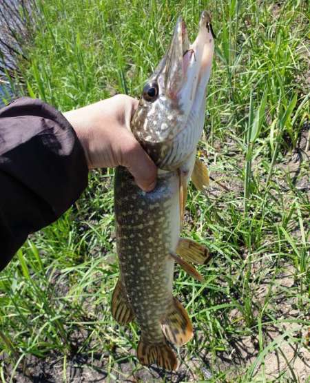 Скрытно... Тихо... На рыбалку - как партизан.