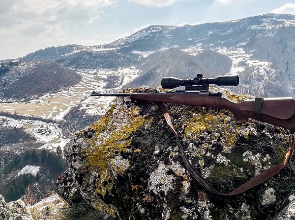 Тимоновский мошенник