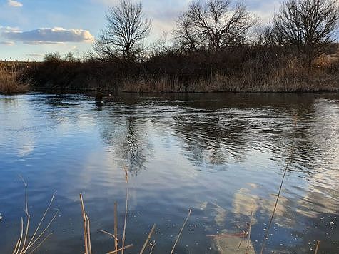В Ростовской области начался сезон ловли голавля нахлыстом